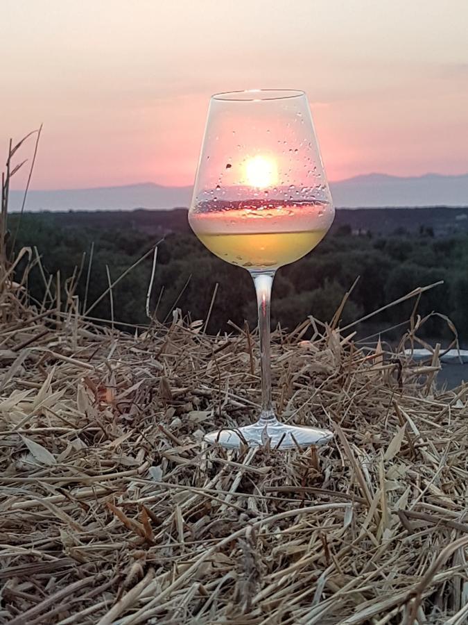 Serra Niedda Resort & Agriturismo Сорсо Экстерьер фото